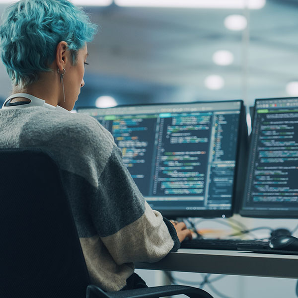 experienced computer programmer