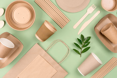 Bird's eye view of a sprig of leaves surrounded by different types of sustainable packaging laid on a light green table