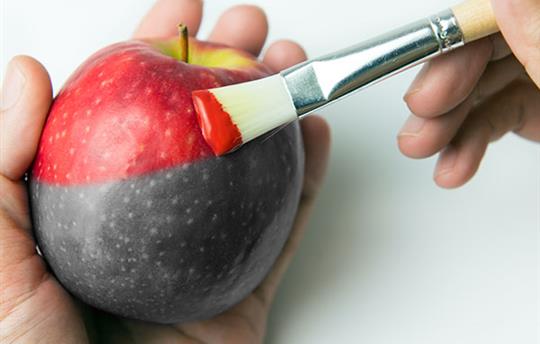 shipping boxes on a conveyor belt